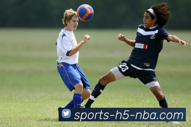 南宫体育平台生态图