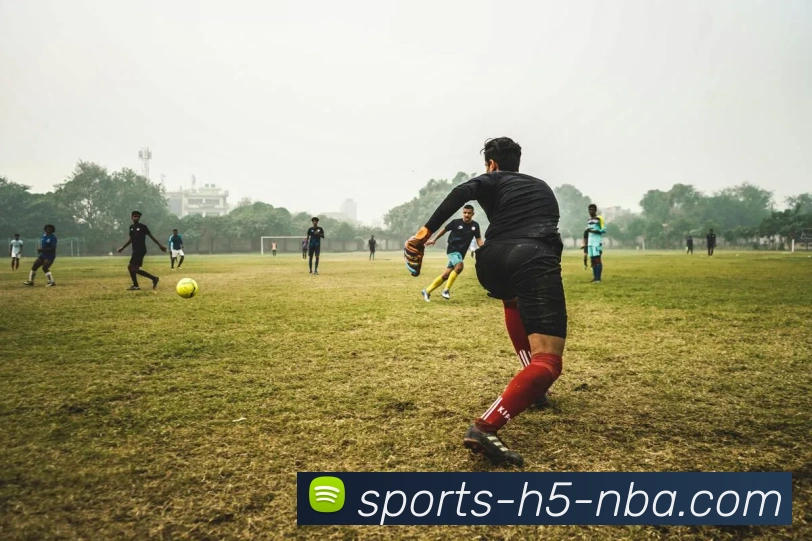 南宫体育APP 封面图